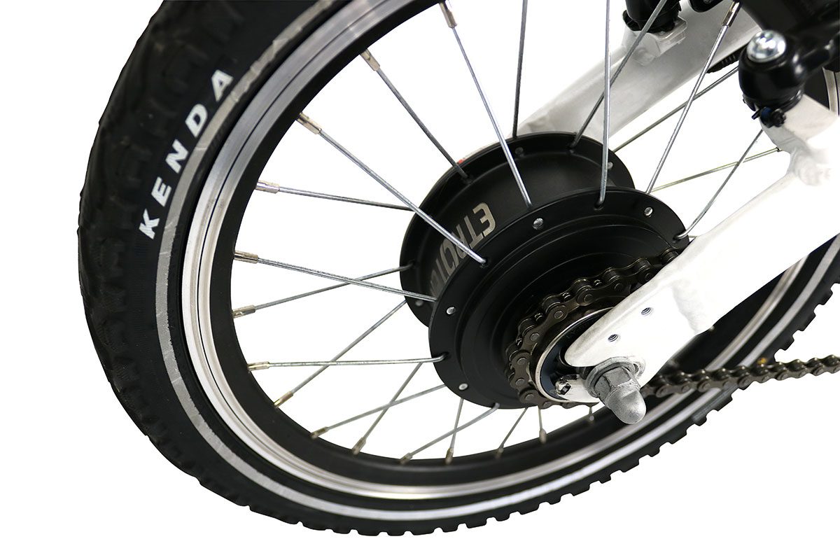 Carla-200-Motor_1200x800