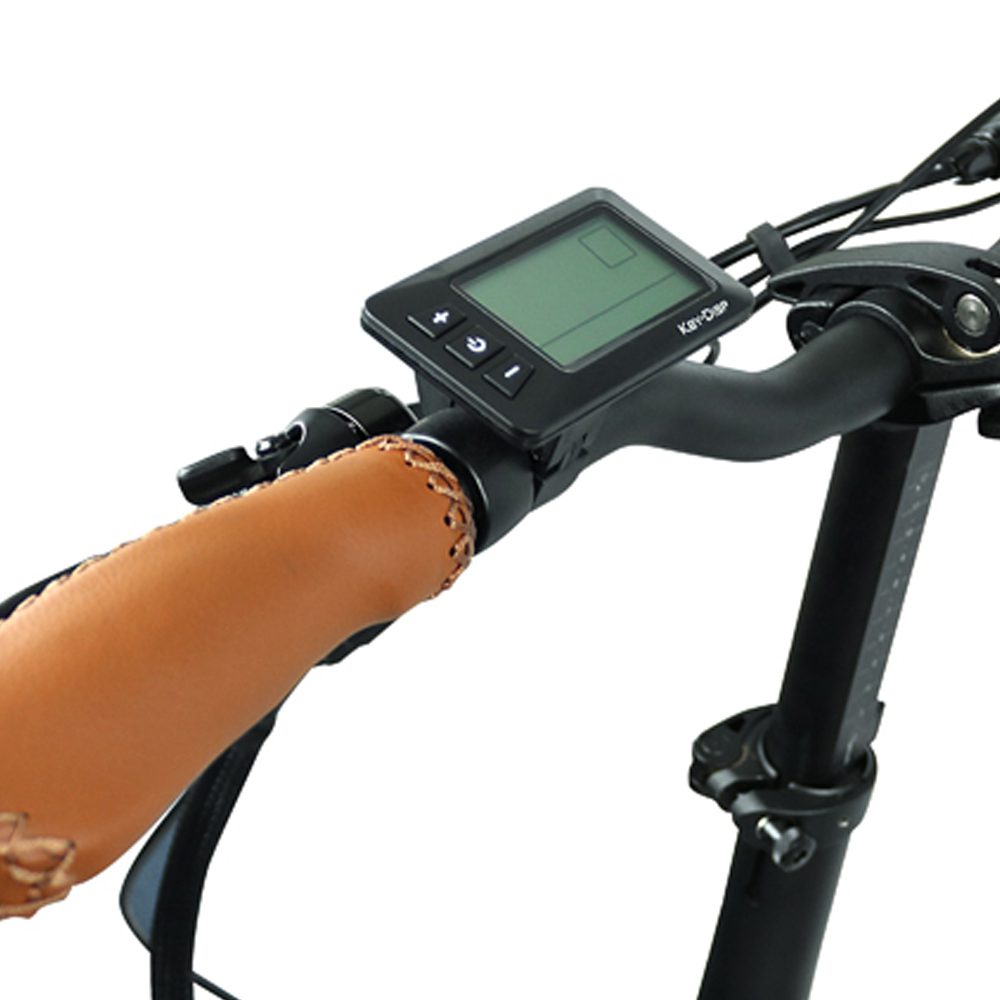 FRANZI_500_Body4__blaupunkt-franzi-500-lcd