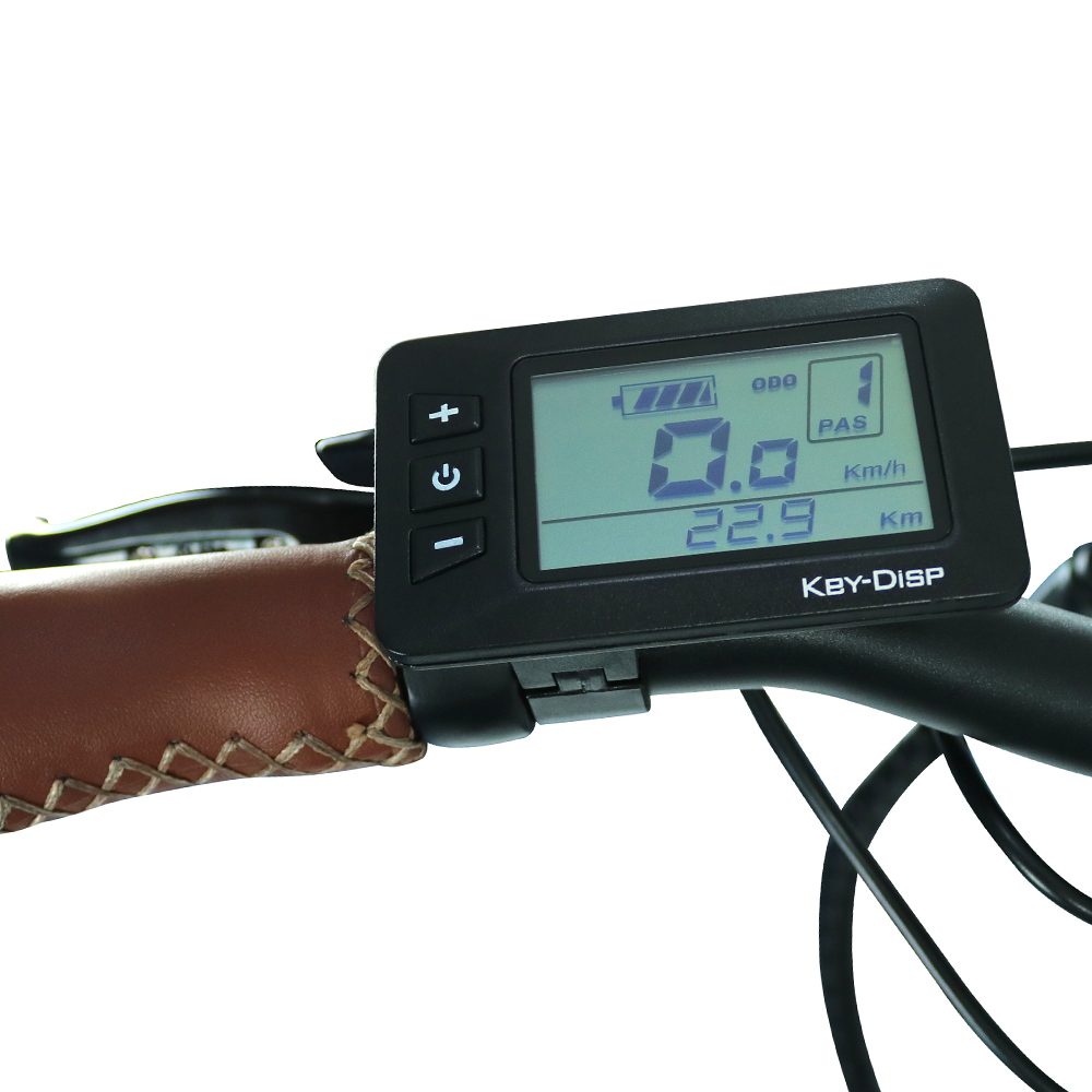 FRIDA_500_body4__blaupunkt-frida-500-lcd