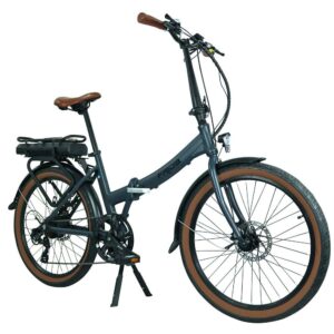 FRIDA Body5 Blaupunkt Frida Links