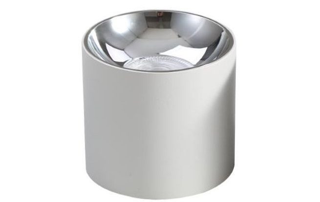 BLAUPUNKT_LAMPA_LED_NATYNKOWA_SPOT_ROLLER_10W_BIAŁY_gallery3