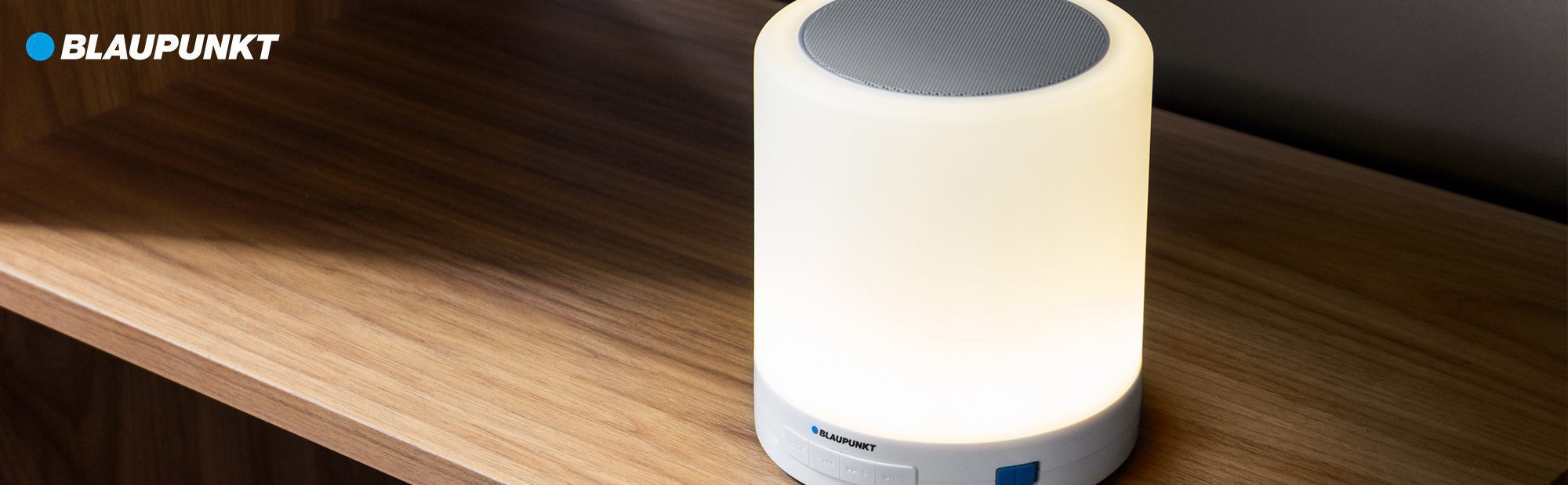 BTL_100_body__A+-Banner-Blaupunkt-BTL-100