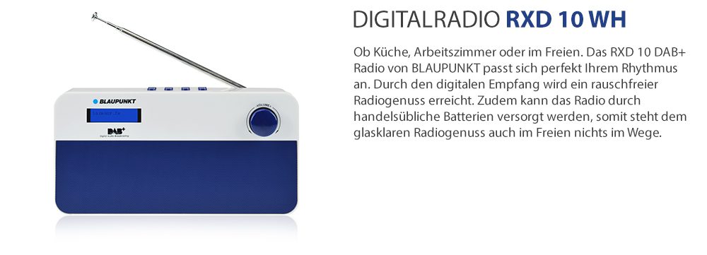 RXD_10_body2__Blaupunkt-RXD-10-KVP-02