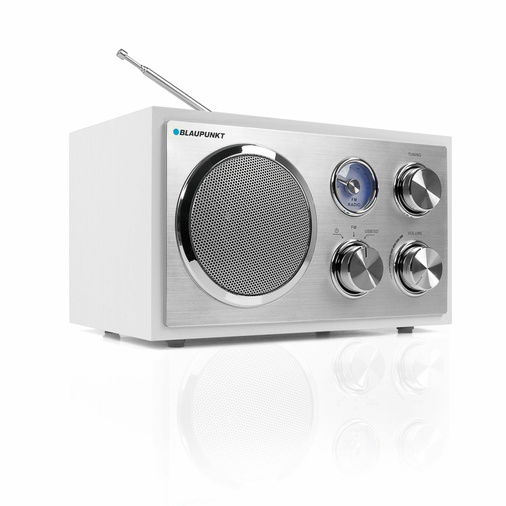 RXN_19_body2__IMG_0960_0