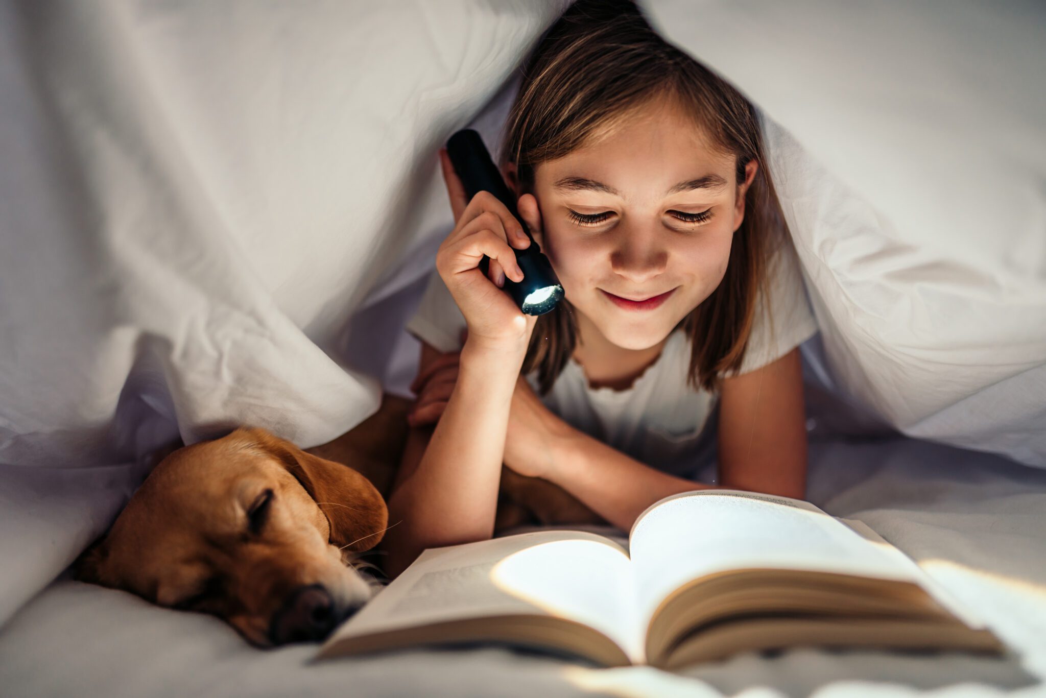 Girl Lying In The Bed With Her Dog Under Blanket Reading Book Late At Night Latarka Blitz