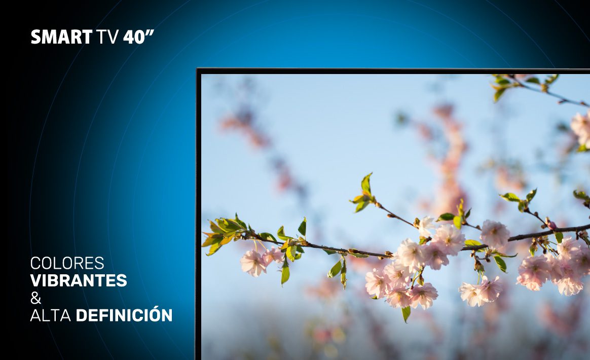 Disfruta el mejor contenido multimedia