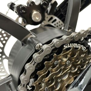 HENRI-blaupunkt–motor