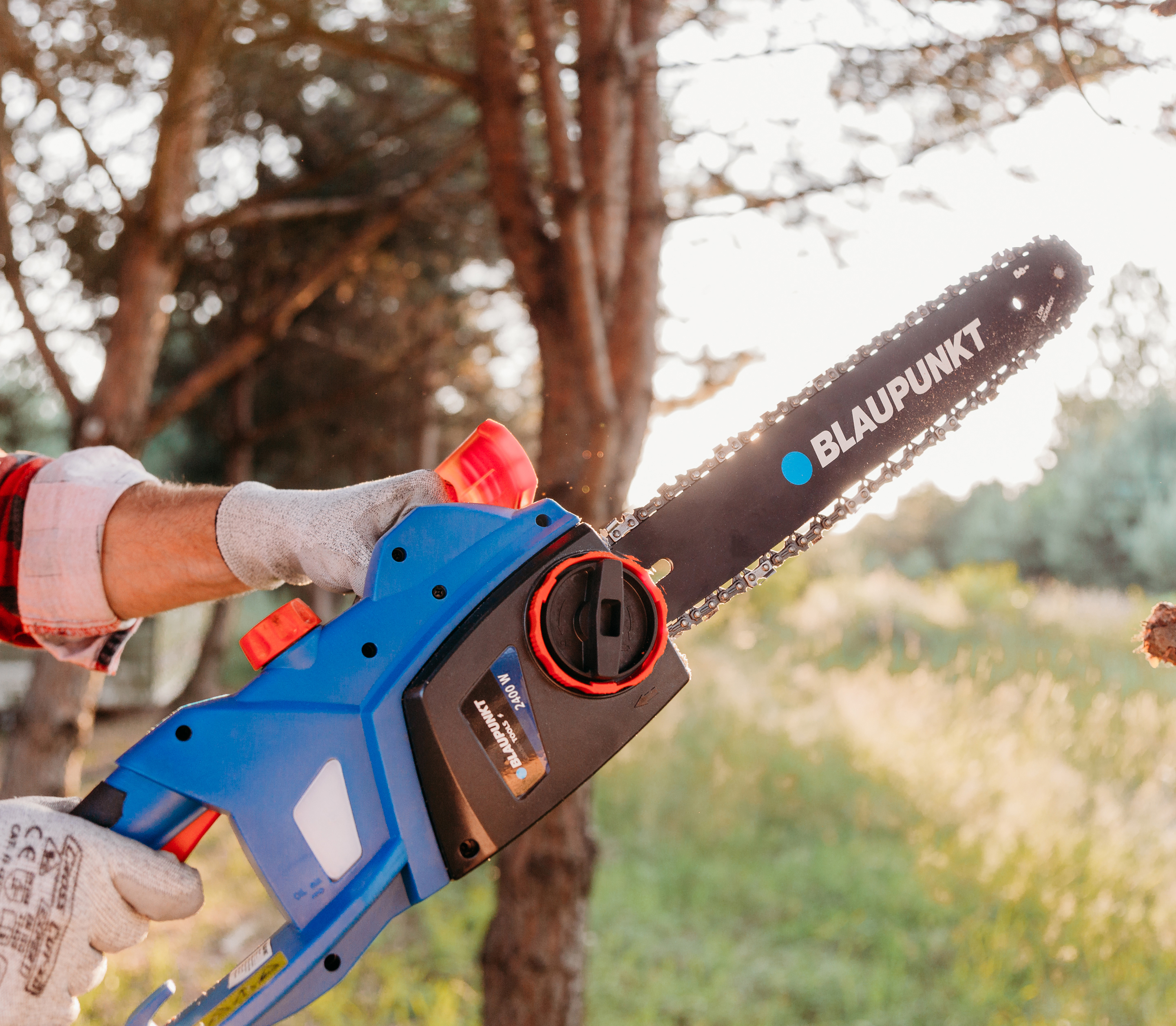 BLAUPUNKT CS4010 LS 1