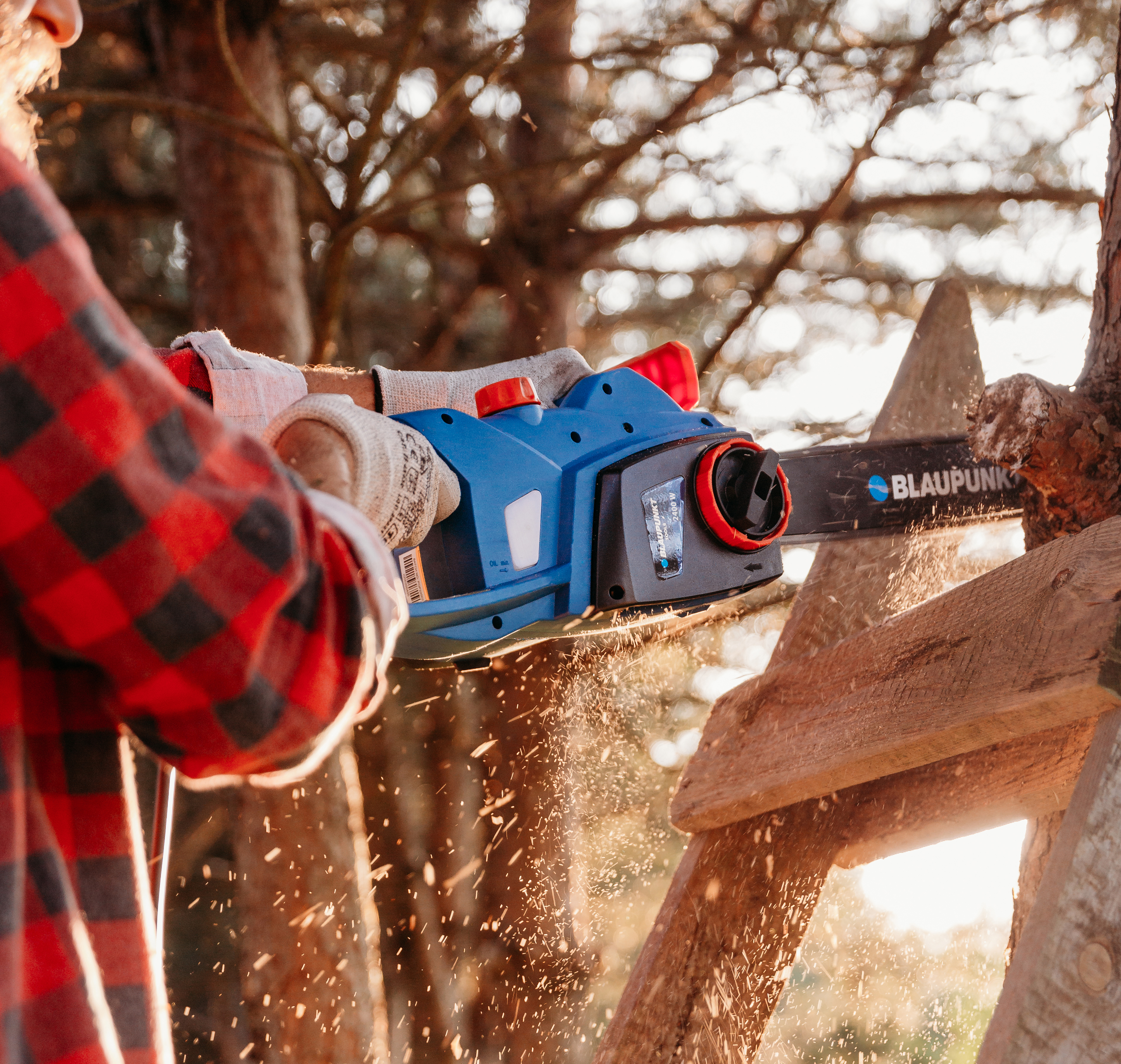 BLAUPUNKT_CS4010_LS_2