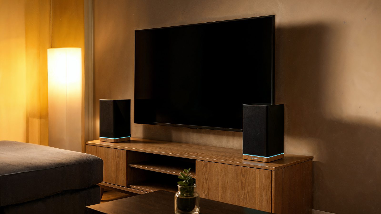 BLAUPUNKT_BS60BK_LS_13