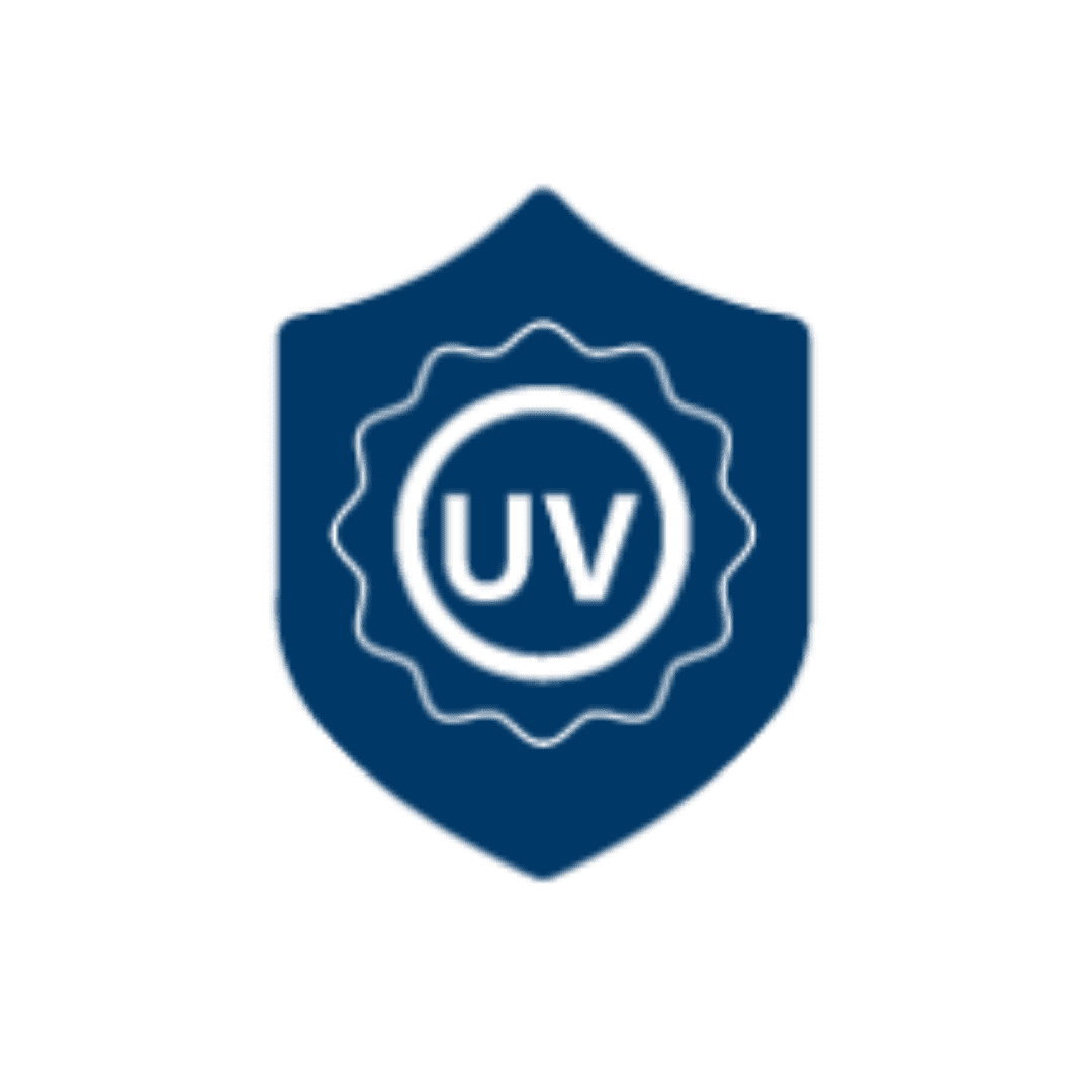 Paint Protection Film