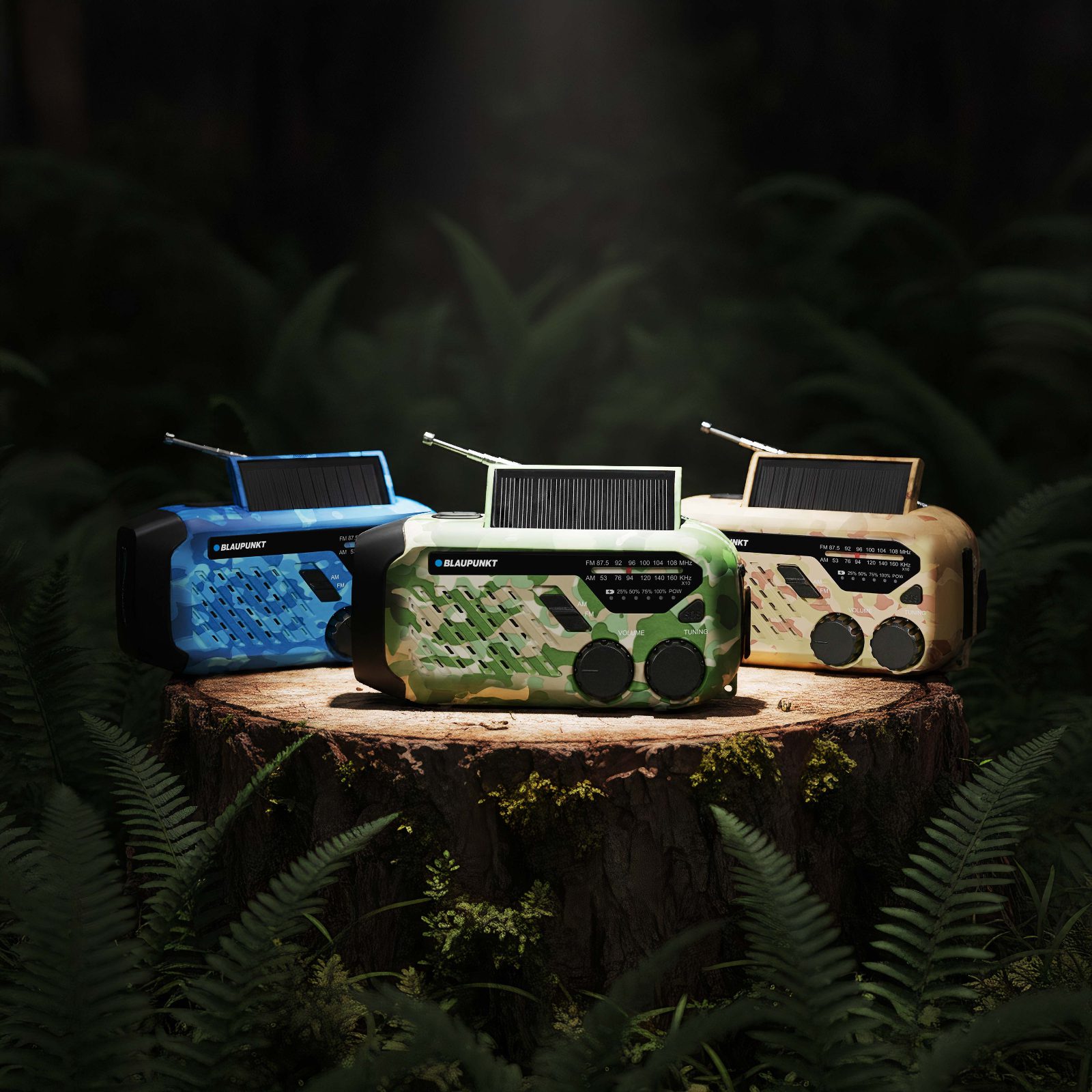 BLAUPUNKR_ER10 SURVIVAL-1